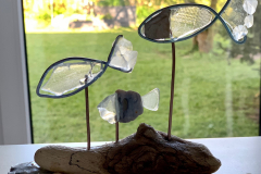 Kleine Fische