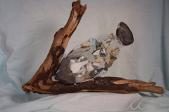 Fisch-Schwarm