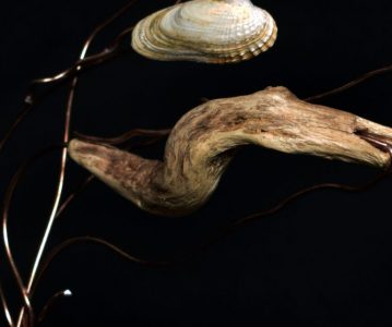 „Windflüchter“